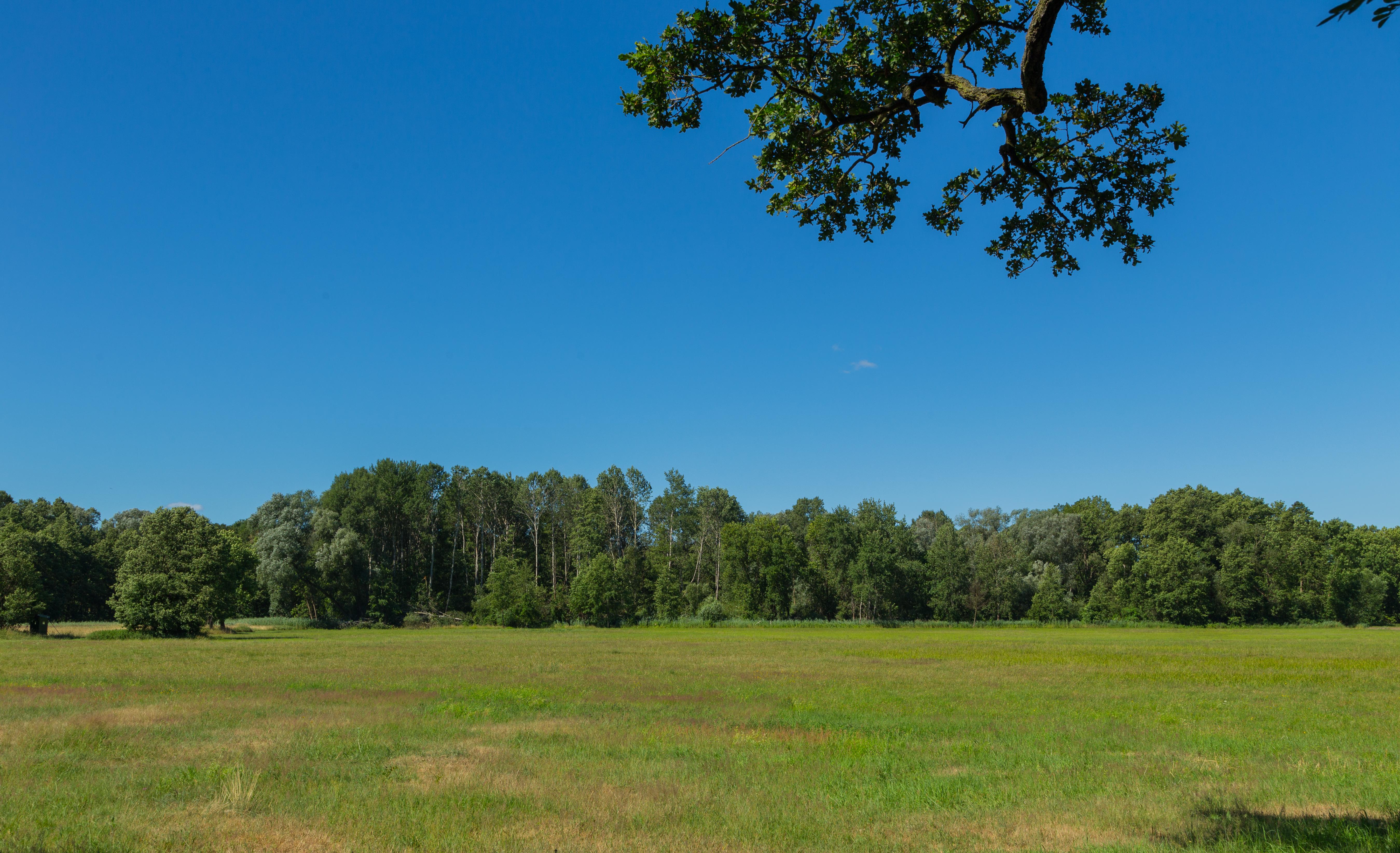 der Byhleguhrer See