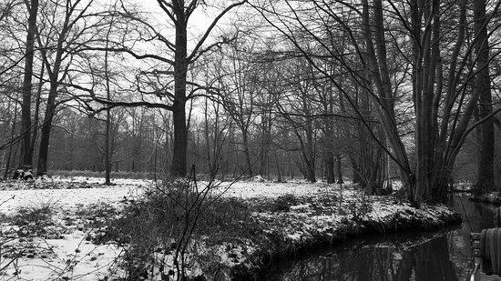 Hafen Waldschloesschen
