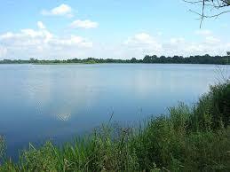 der Inselteich
